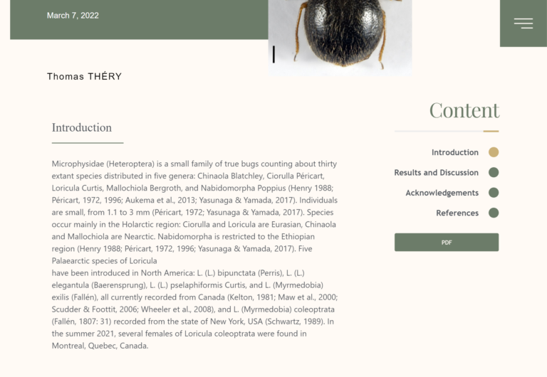 Specimen Pub - Client